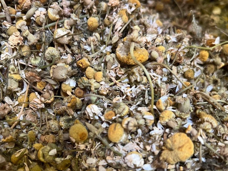 Manzanilla Flor