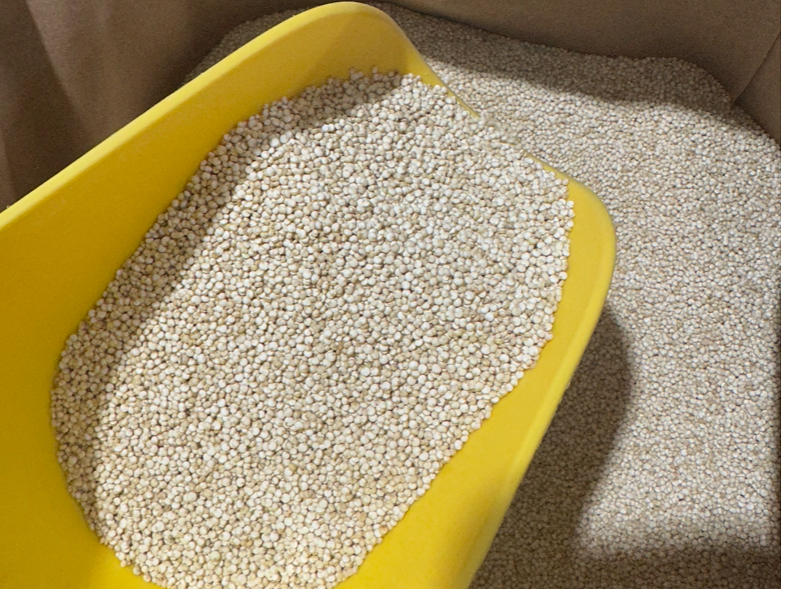 Semillas de Quinoa importada (Copia)