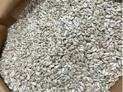 Semillas de Girasol (pelado)