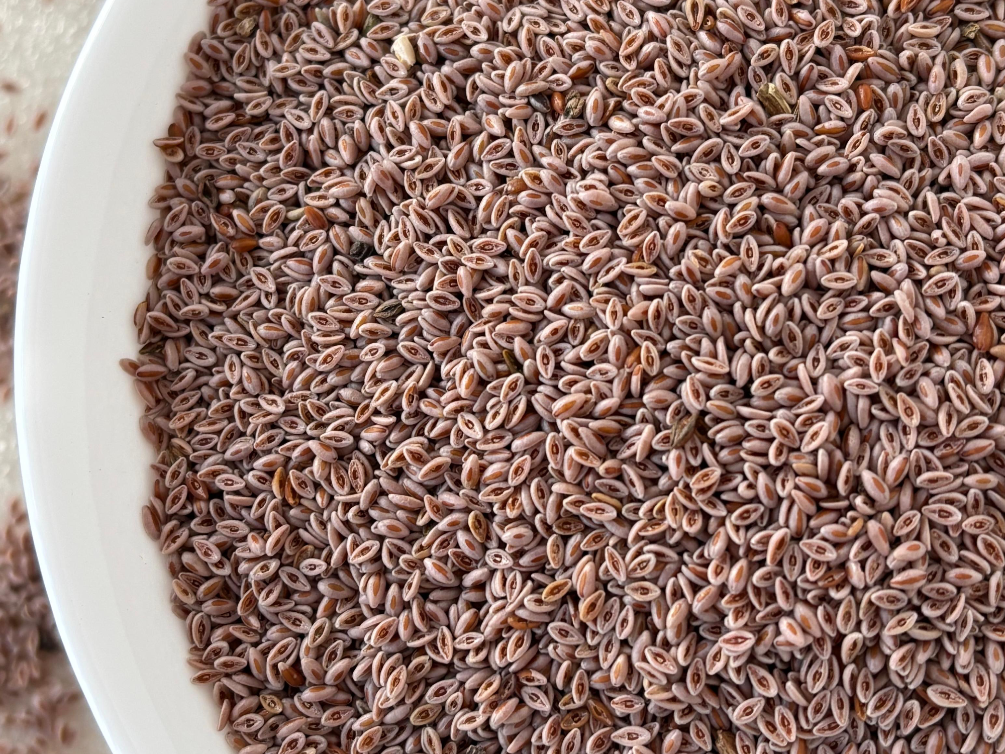 Semillas de Psyllium