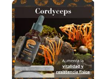 Cordyceps 100ml - Mycellium