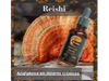 Reishi 100ml - Mycellium