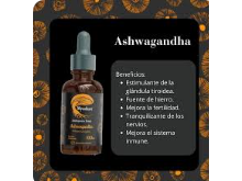 Ashwagandha 100ml - Mycellium