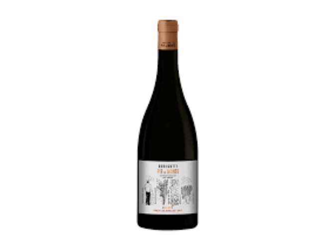 Vino Durigutti Pie de Monte Malbec