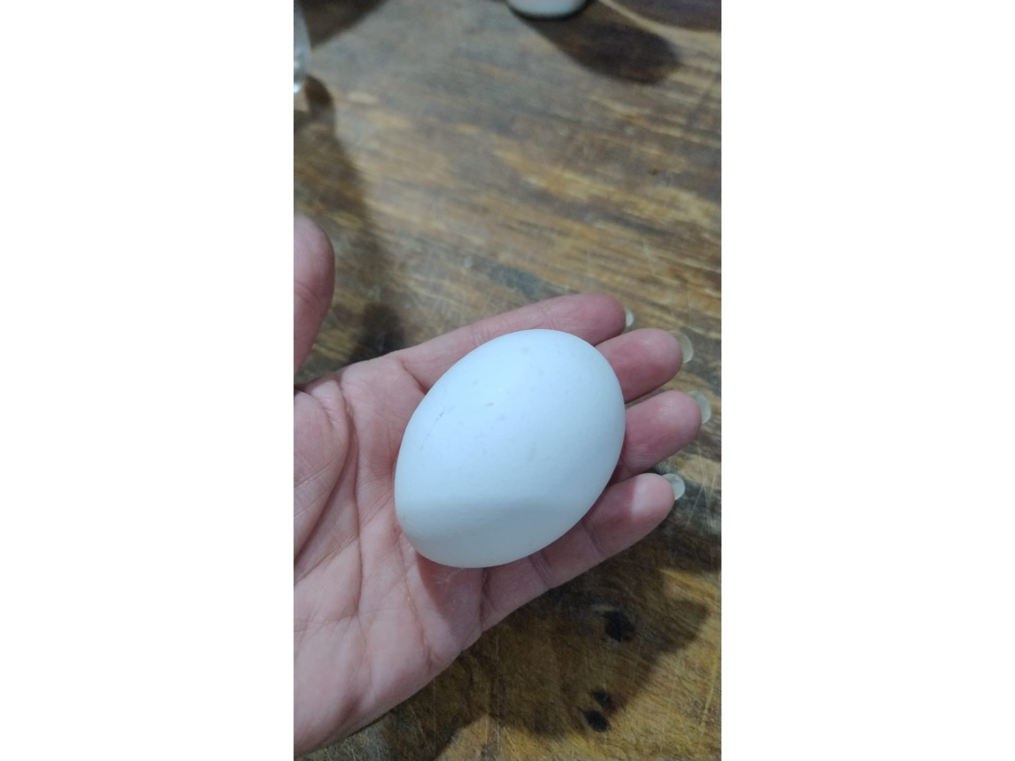 Huevos