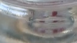 ALCOHOLES (ETÍLICO, ISIPROPILICO, EN GEL)