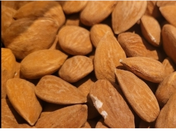Almendra guara