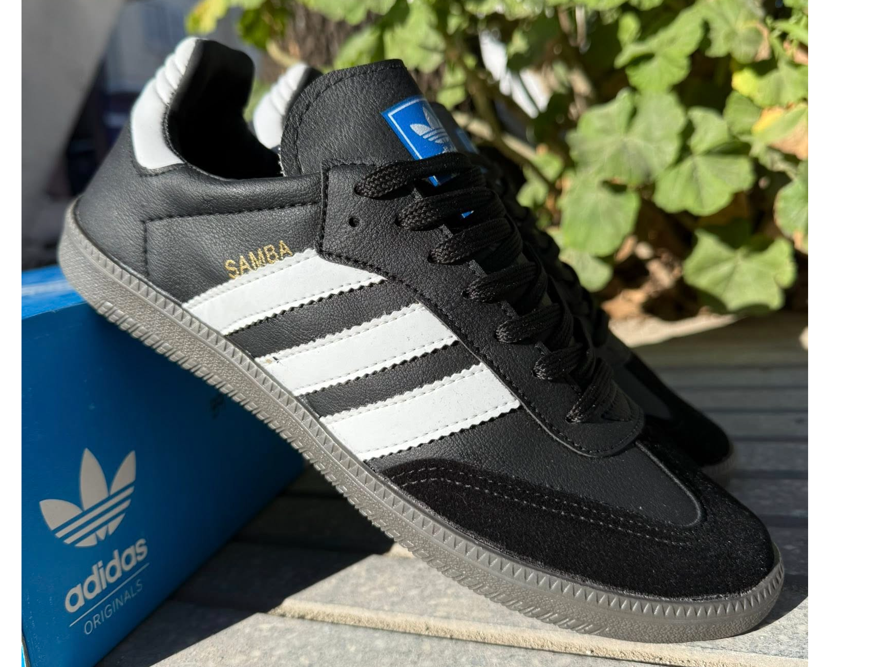 Sambas Negras