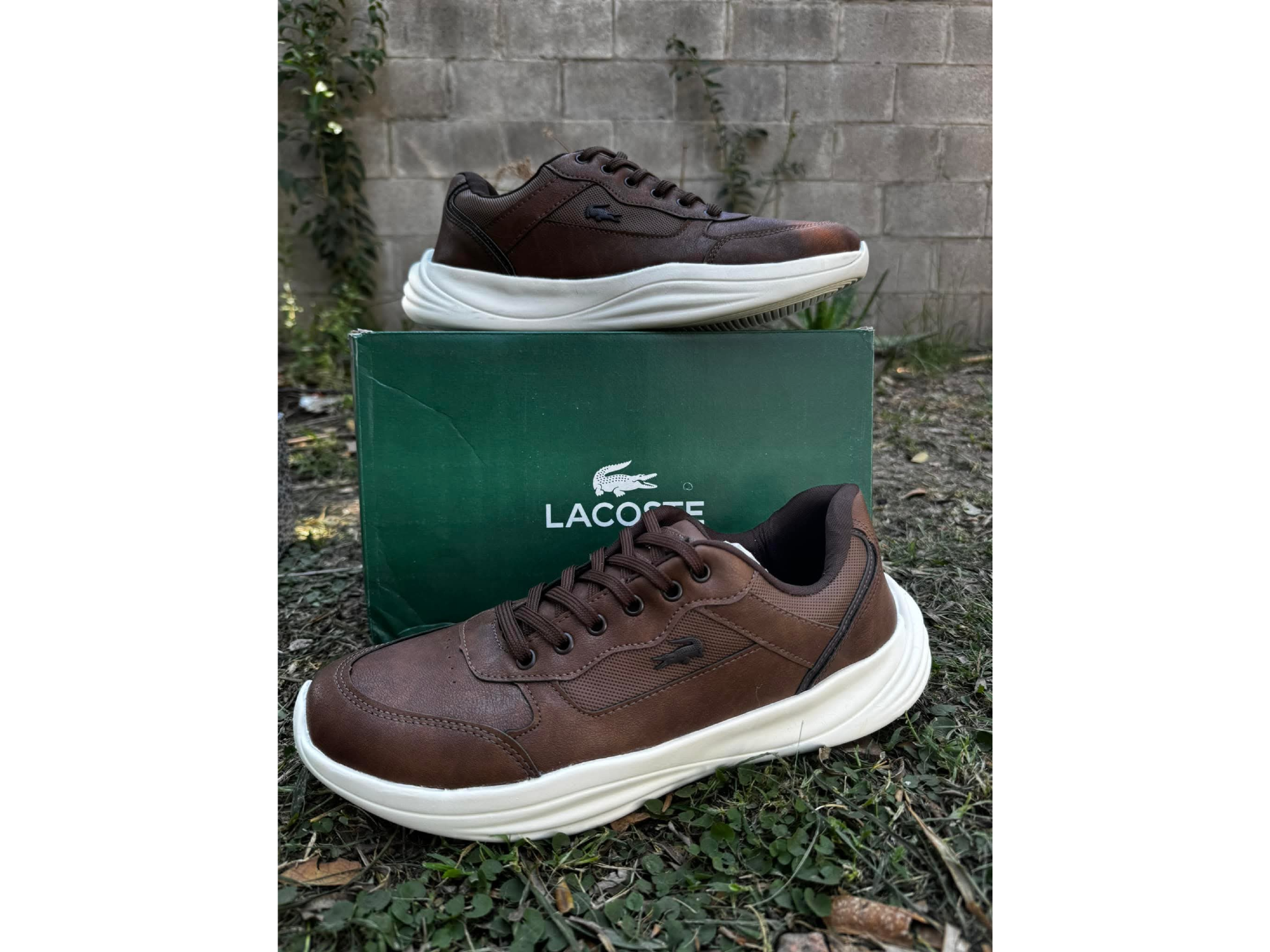 ROBUST marron