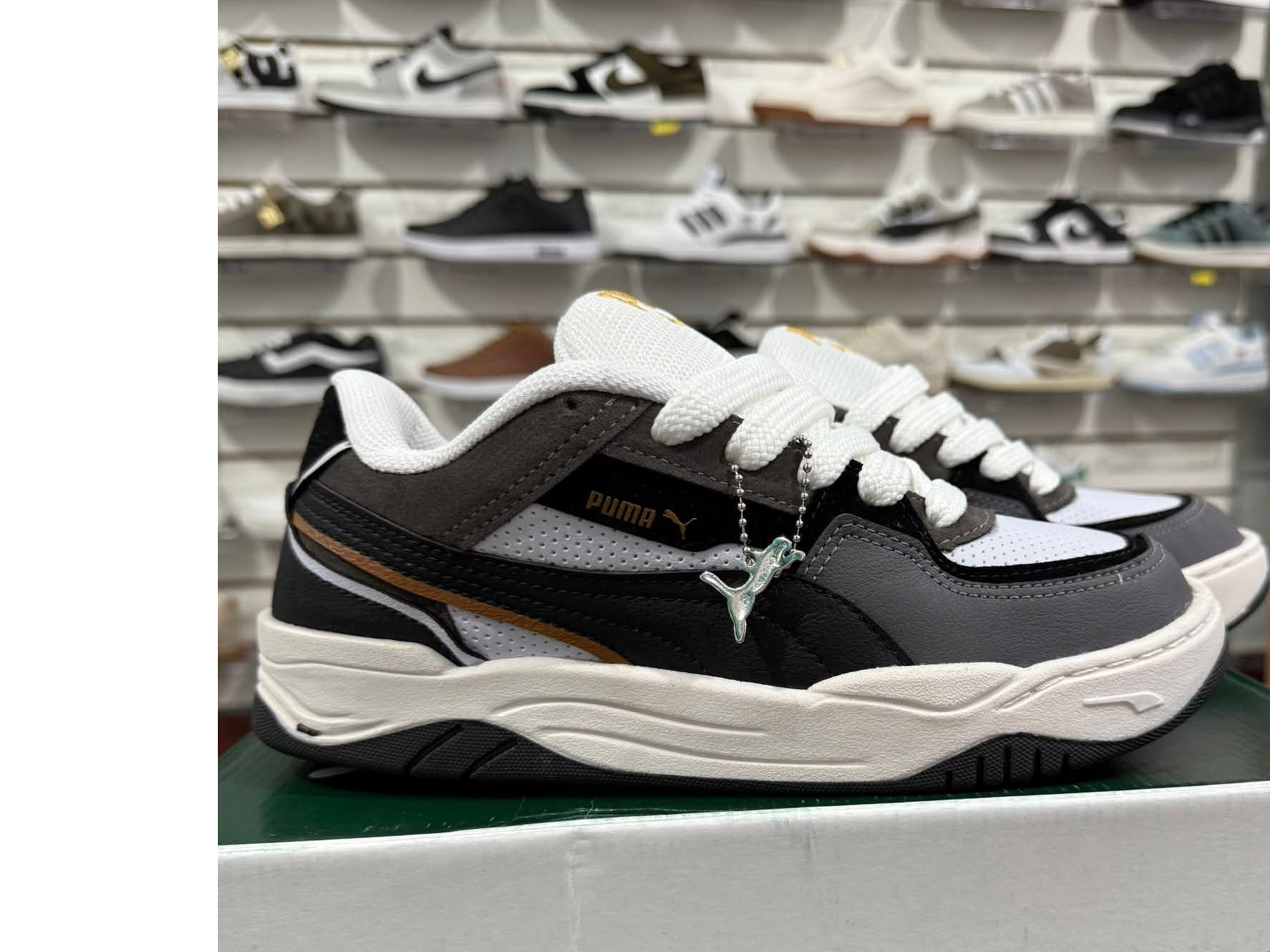 Pumas 181
