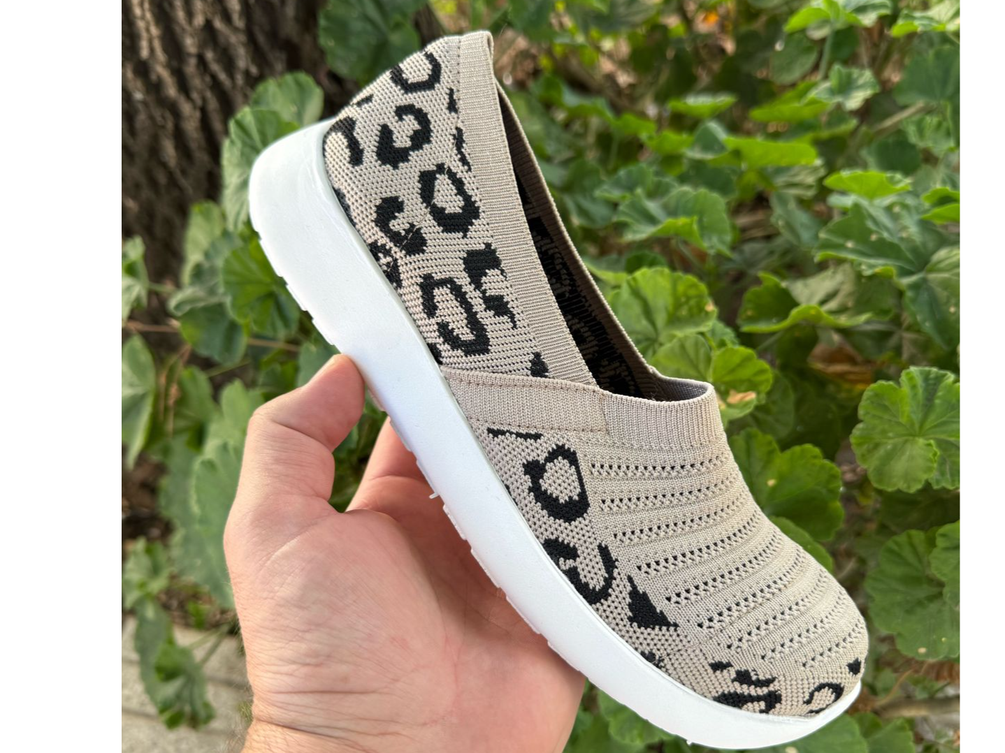 Panchas Beige