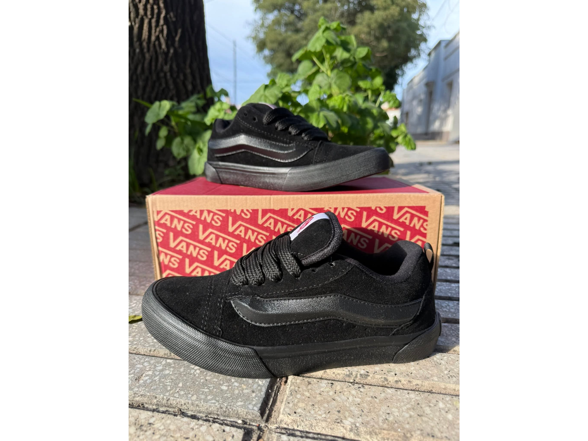 Vans total black