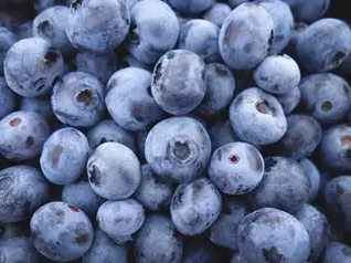 Arandanos