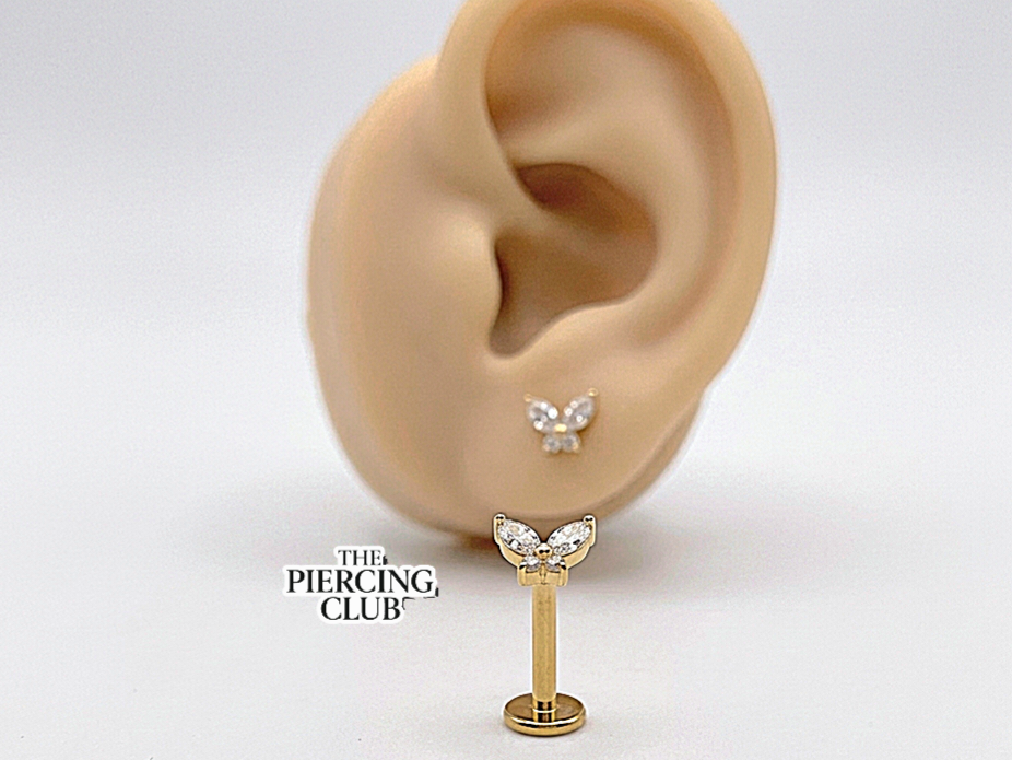 Piercing Labret Titanio