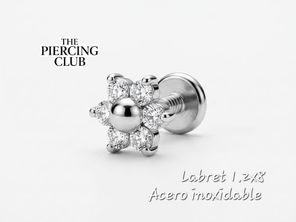 Labret plateado 6P NUEVO INGRESO