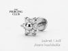Labret plateado 6P NUEVO INGRESO