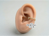 Piercing Conch #8