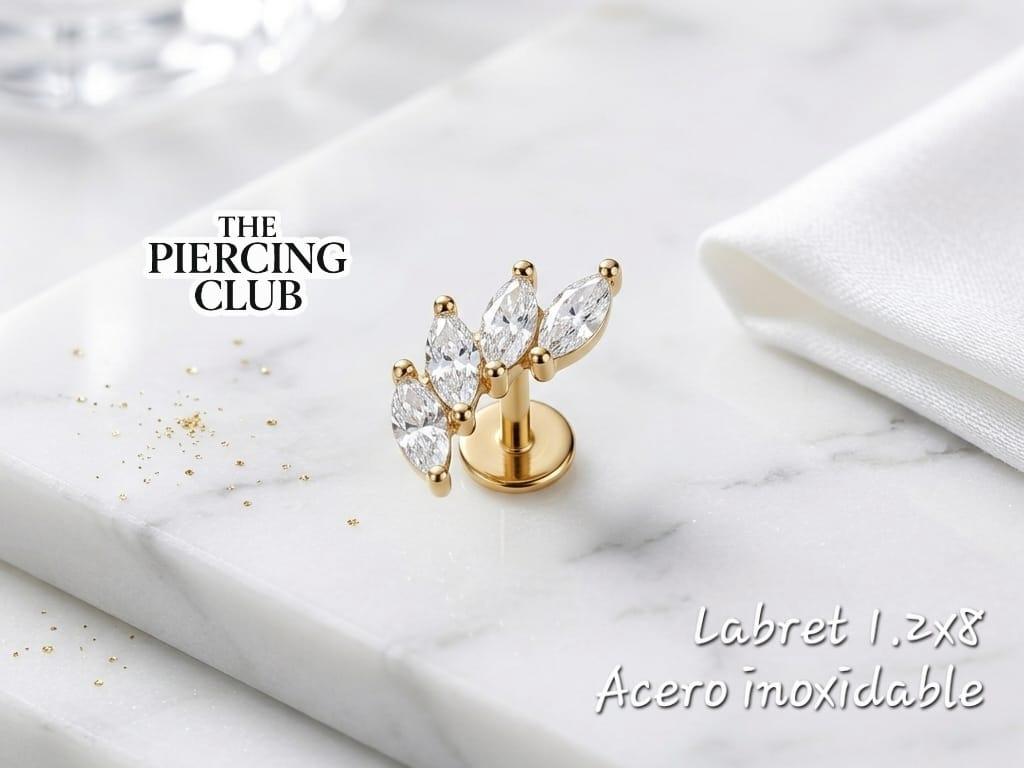 Labret de 4P NUEVO INGRESO