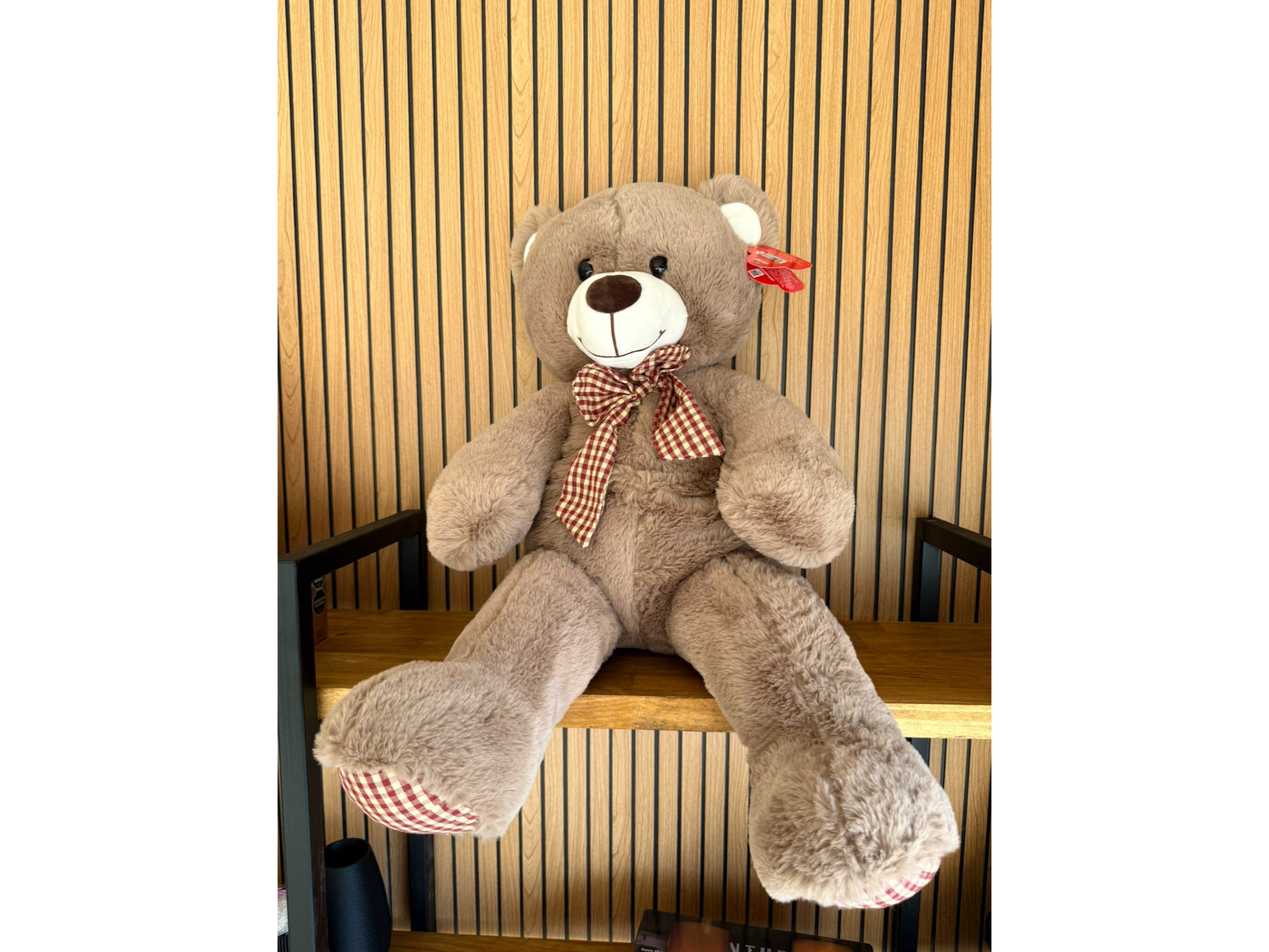 Oso marrón 🧸