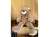 Oso marrón 🧸