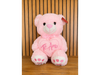 Oso peluche rosa 💗