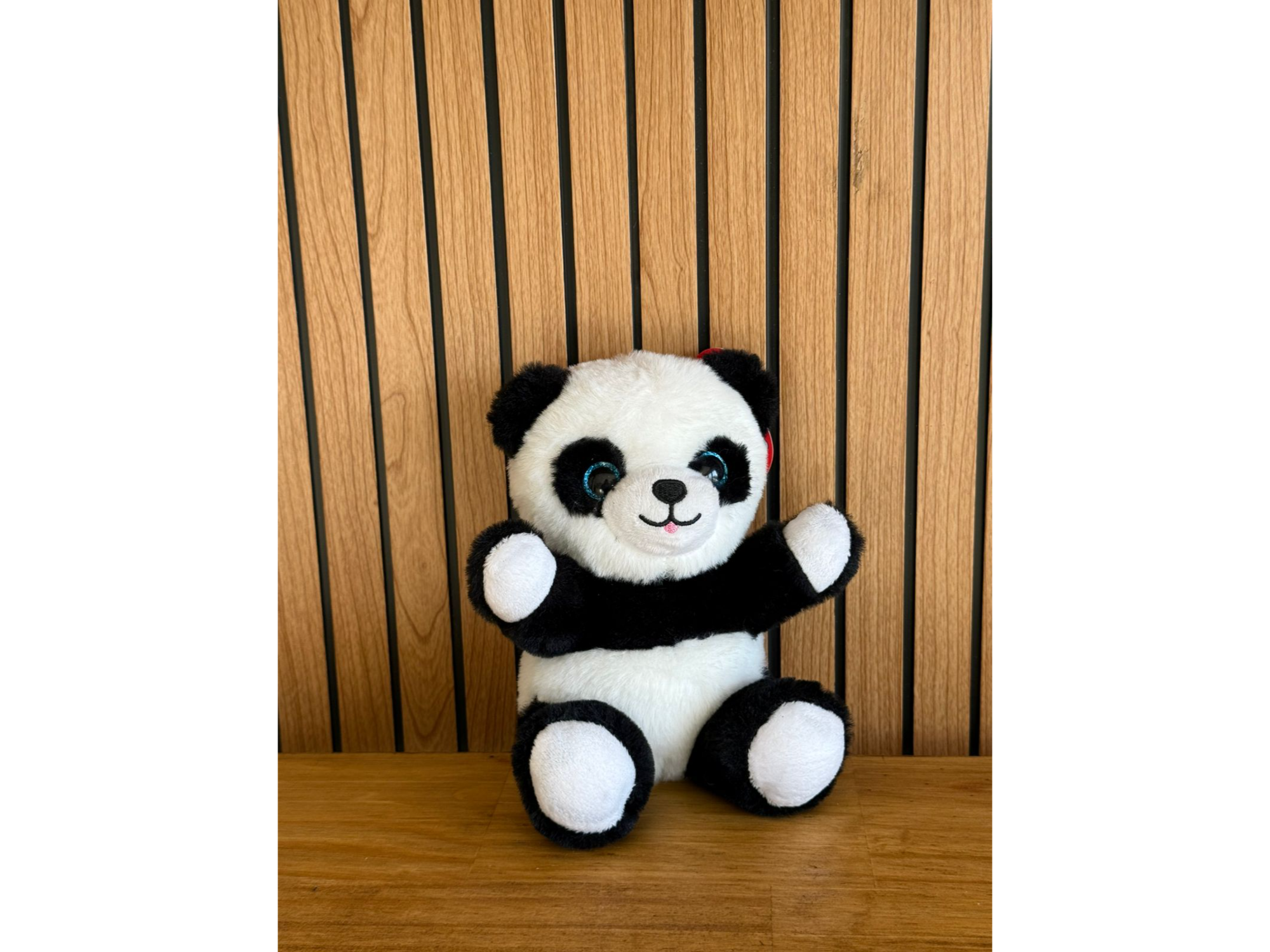 Oso panda 🐼