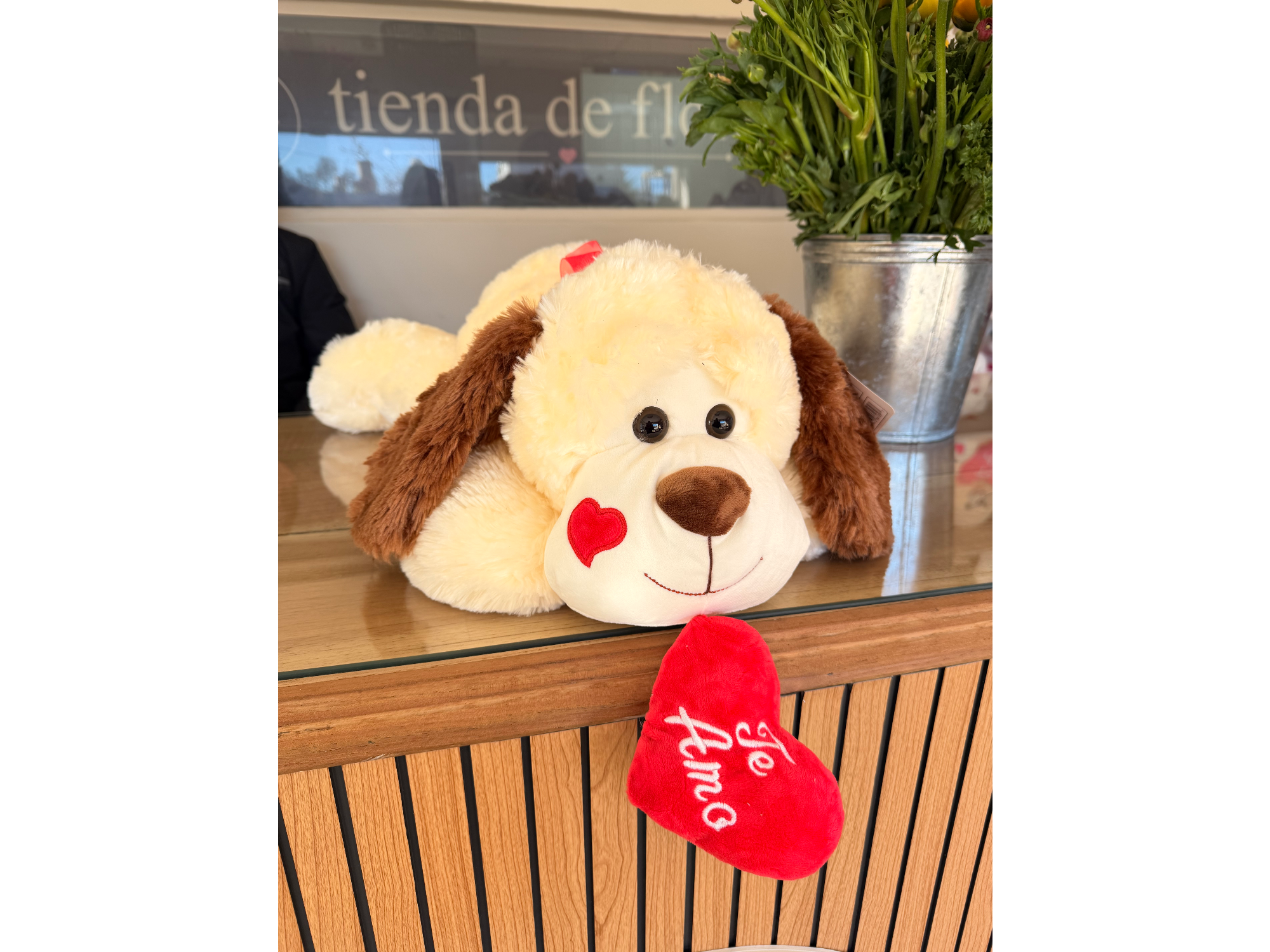Peluche perrito ♥️