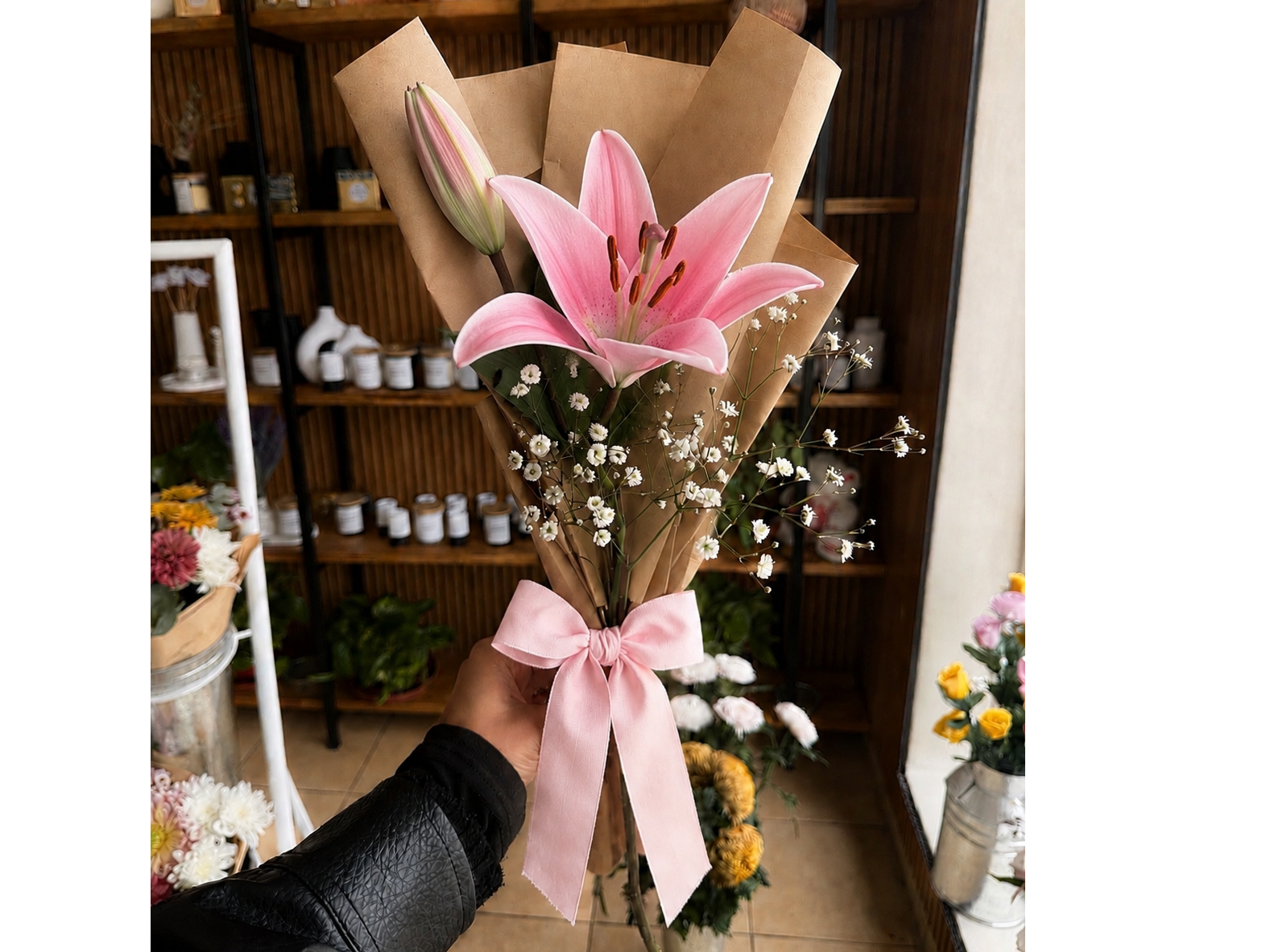 Lilium rosa 🌸