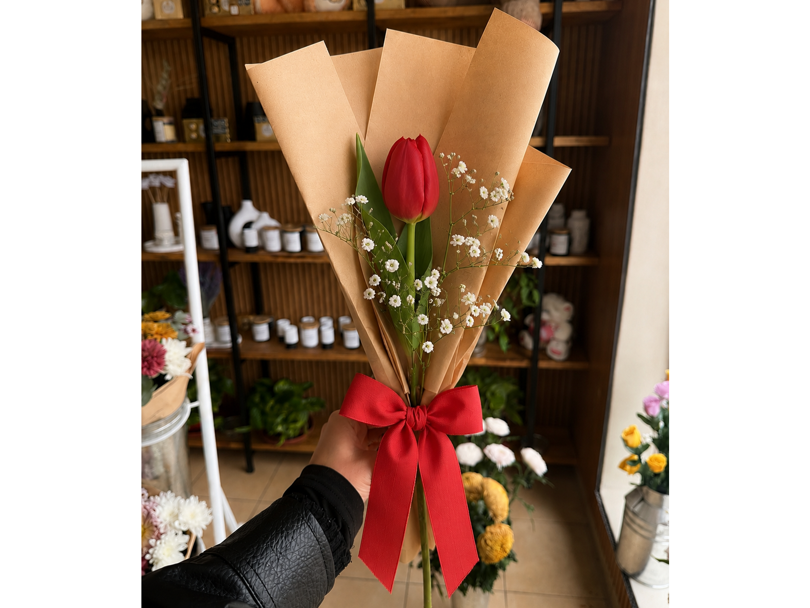 Tulipán rojo