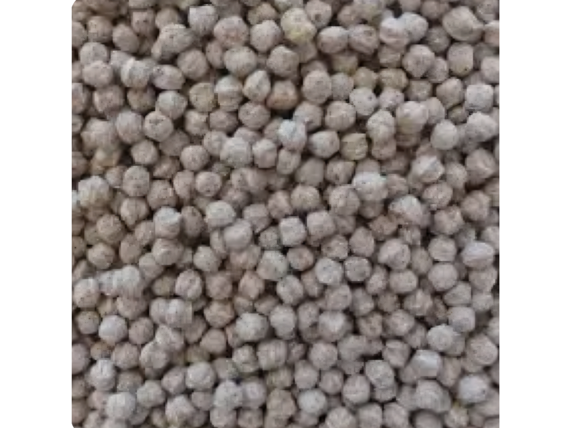 Quinoa pop con arándanos