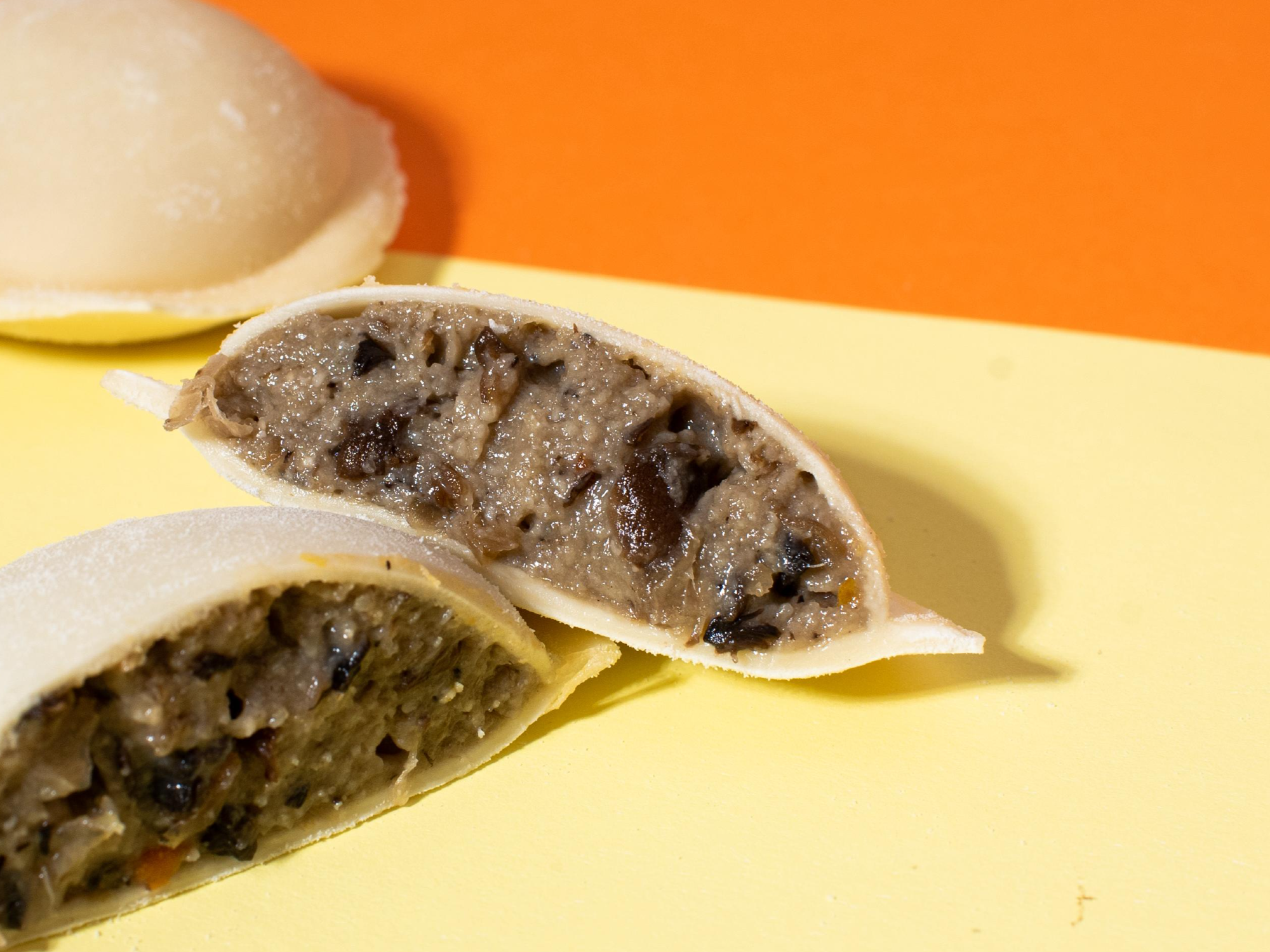 HONGOS