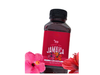 AGUA DE JAMAICA +58 330ML