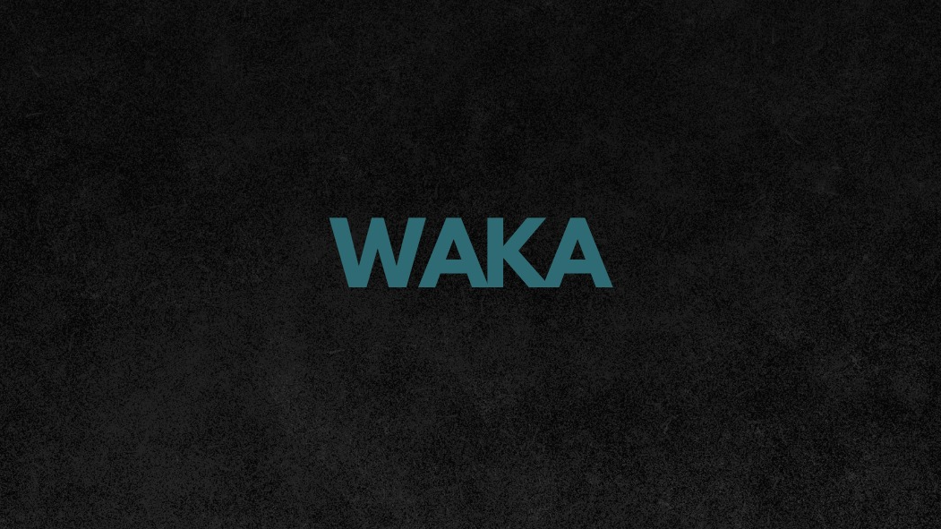 Waka- 50.000 Puffs-