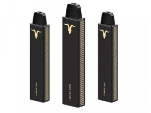 Ignite VNANO- 1.000 Puffs-