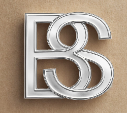 Logo de Bari Store