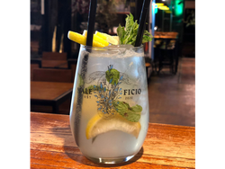 MOJITO (consultar variedades)