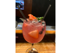 GIN TÓNIC (consultar variedades)