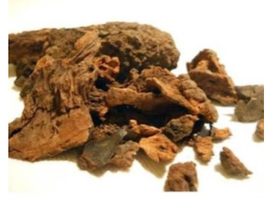 Yuyo rompepiedras