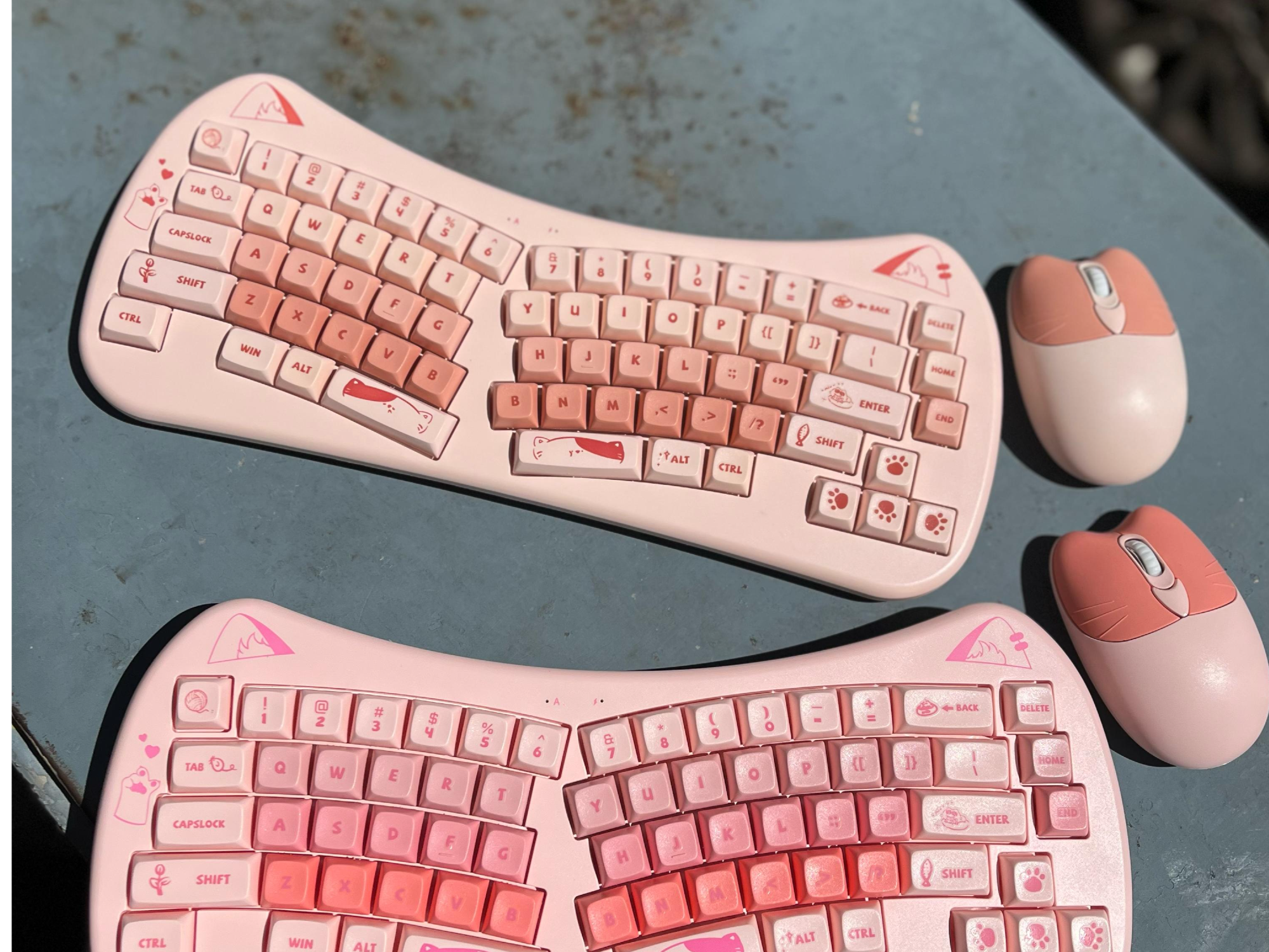 TECLADO Y MOUSE KEYBOARD DW 66 CAT