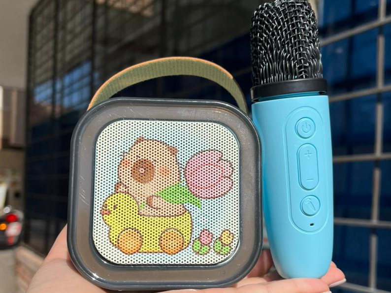 PARLANTE KARAOKE DISEÑO CAPIBARA