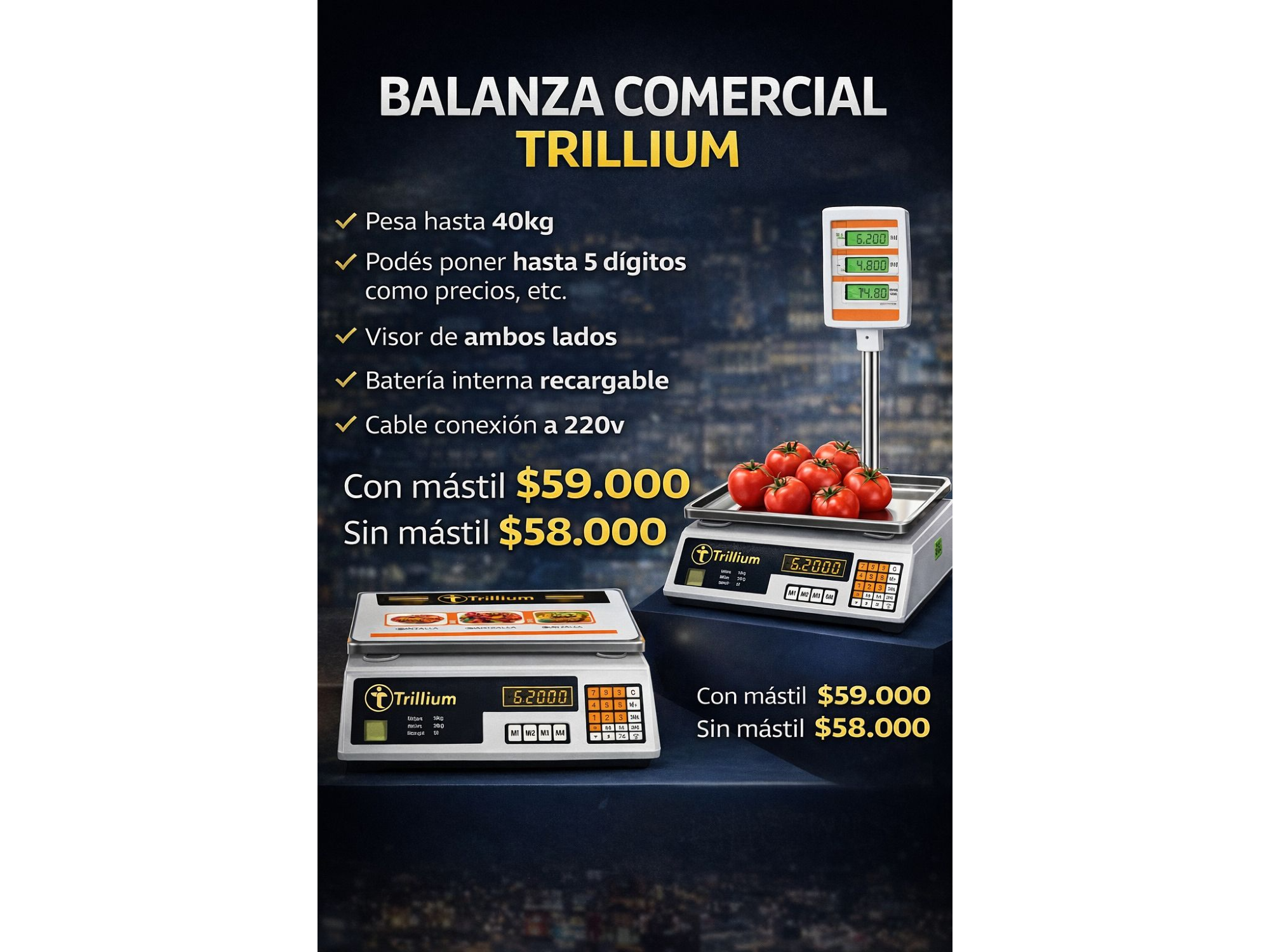 BALANZA COMERCIAL CON MASTIL