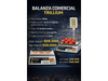 BALANZA COMERCIAL CON MASTIL