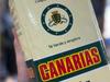 Yerba canarias te verde