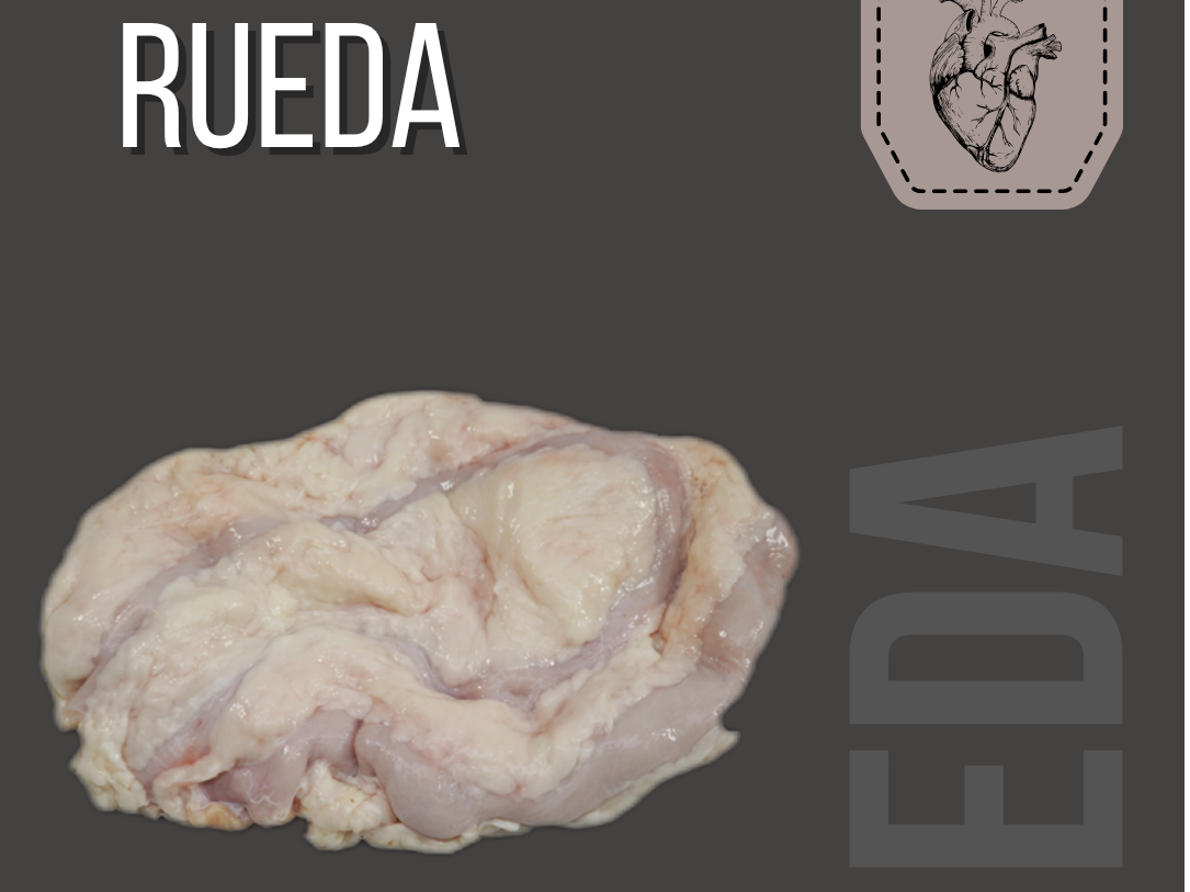 Rueda
