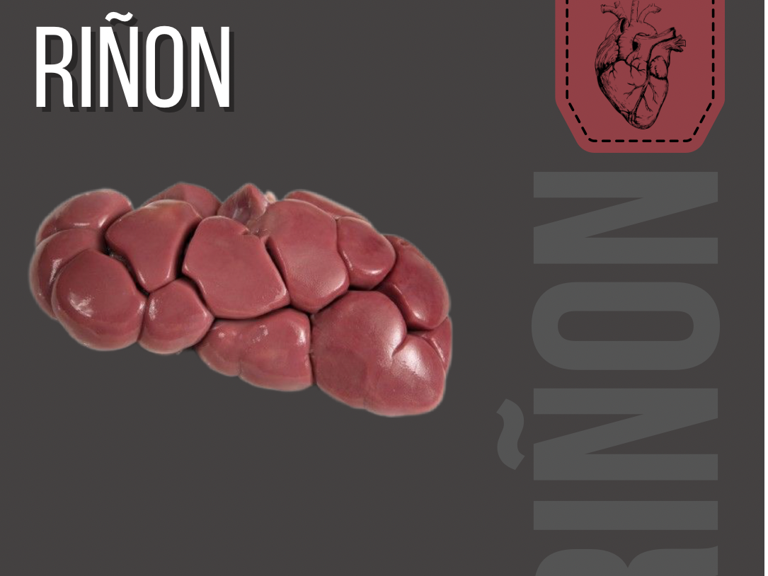 Riñón