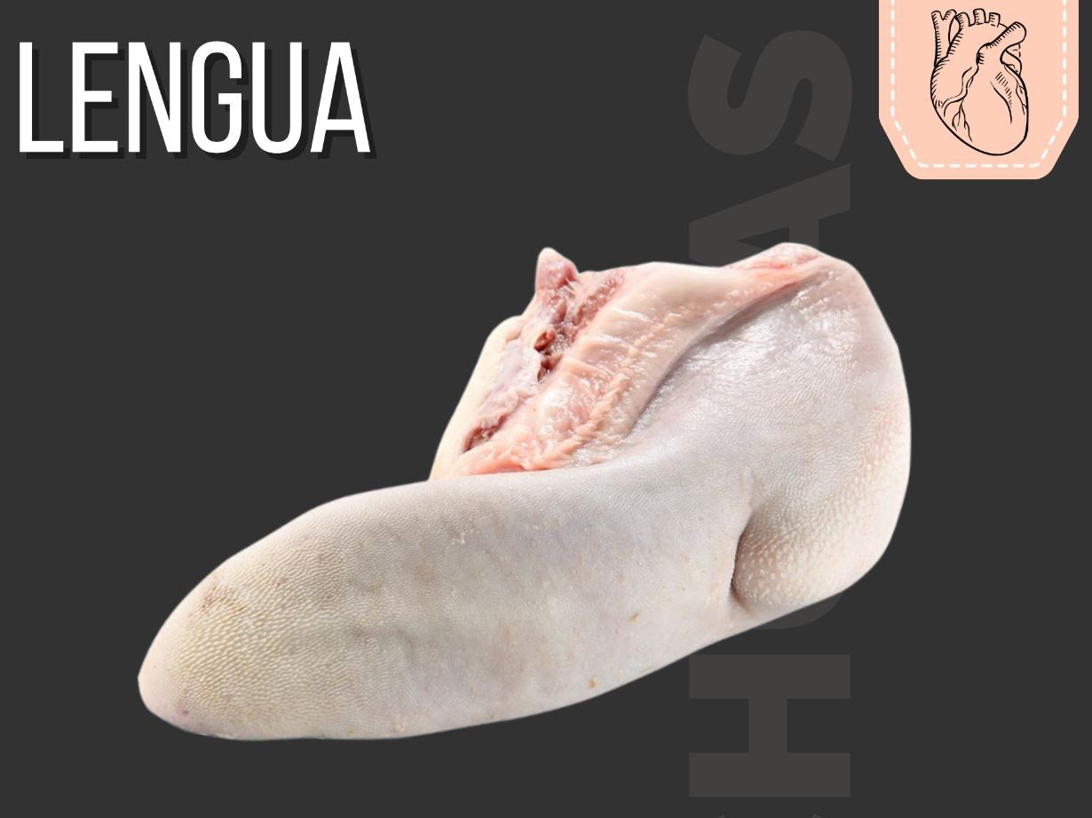 Lengua