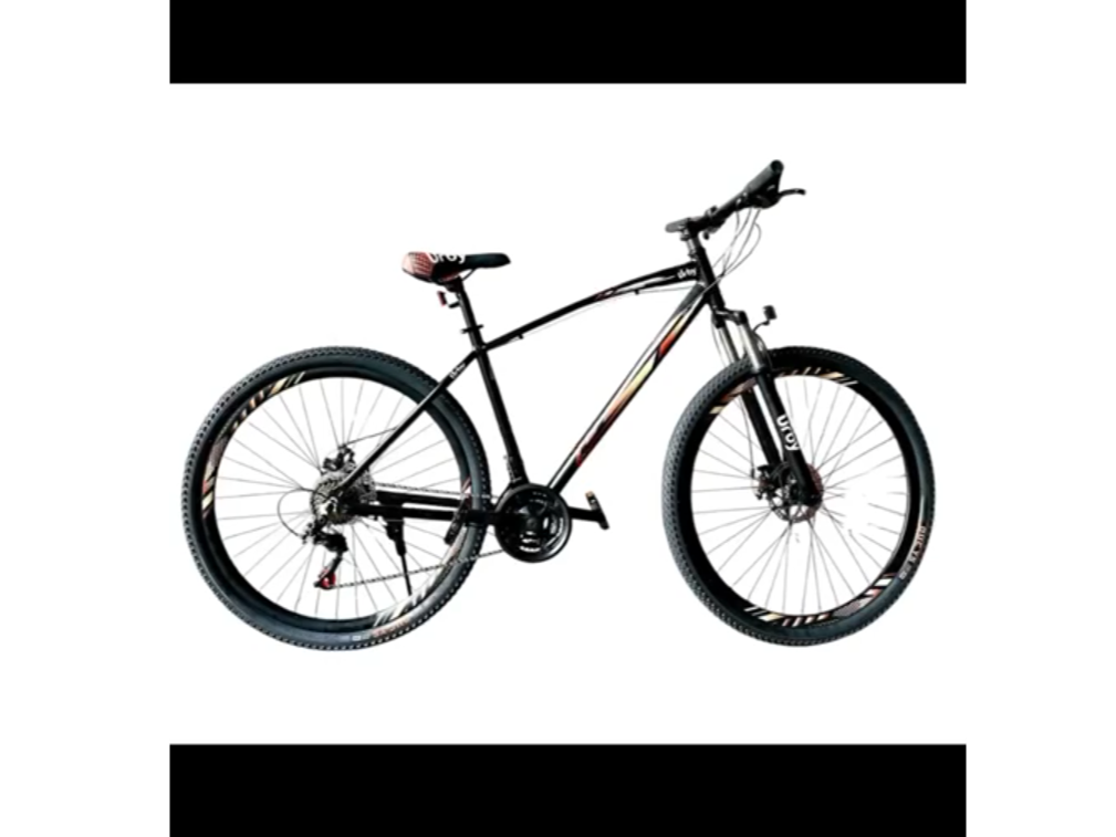 _Bicicleta 🚲 URBY R29_  -