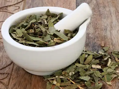 Hoja de Sen