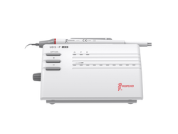 CAVITADOR WOODPEACKER