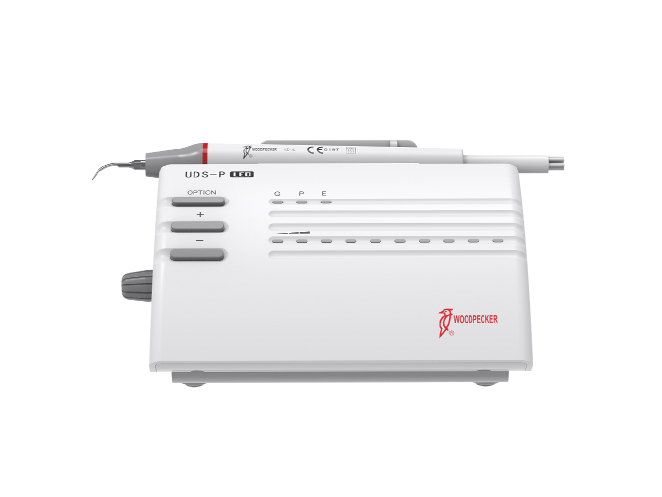 CAVITADOR WOODPEACKER